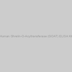 Image of Human Ghrelin-O-Acyltransferase (GOAT) ELISA Kit